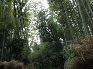 2013heike-kyoto92.JPG