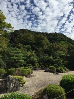 IMG_4190.jpg