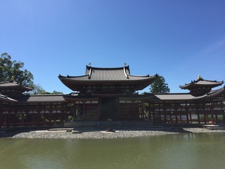 IMG_4253.jpg