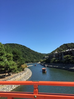 IMG_4260.jpg