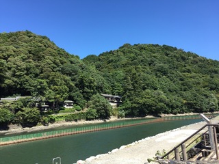 IMG_4285.jpg